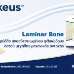 Laminar Bone: Λεπτό φύλλο/πέταλο απασβεστιωµένου φλοιώδους οστού, µεγάλης µηχανικής αντοχής